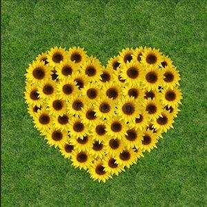 Unlisted item for live show. Flowers not for sale.